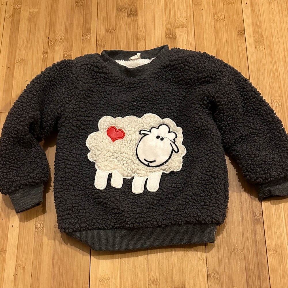 Cozy Black Sheep Sweater